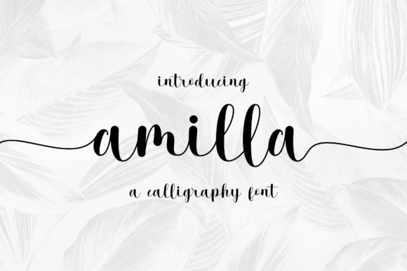 Amilla: A Thoughtful Font for Editorial Stories