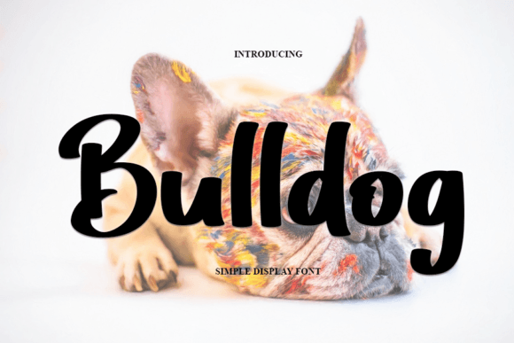 Bulldog Font: Your Craft Business’s Modern Handwritten Touch