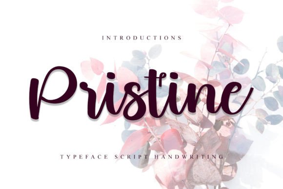 Pristine: A Modern Handwritten Font for Authentic Business Branding